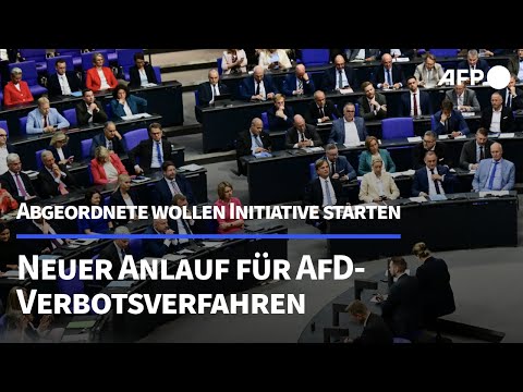 Neuer Anlauf für AfD-Verbotsverfahren im Bundestag | AFP