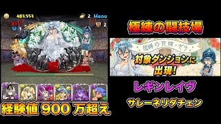 【パズドラ】極練の闘技場 花嫁ゼラ対策済み 片サレ（レギンレイヴ）×冴木【ランク上げ周回用】【攻略】PUZZLE & DRAGONS