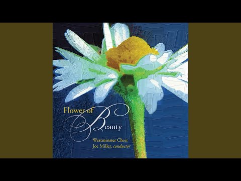 Fatise kolo (arr. I. Markovic)