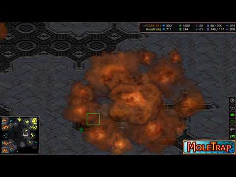 Jaedong vs Bisu! - random replay cast