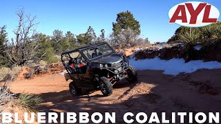 BlueRibbon Coalition