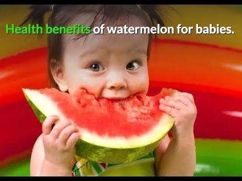 download lagu mp3 mp4 Can I Give My Baby Watermelon, download lagu Can I Give My Baby Watermelon gratis, unduh video klip Can I Give My Baby Watermelon