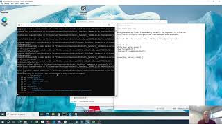 pico2025 Binary Instrumentation 2