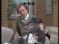Roland Rat On TV Am With Guests 1983