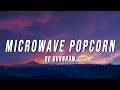 Bo Burnham Microwave Popcorn Lyrics