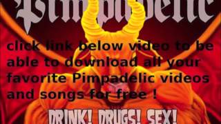 Pimpadelic white trash mc studio version from the album drink drugs sex