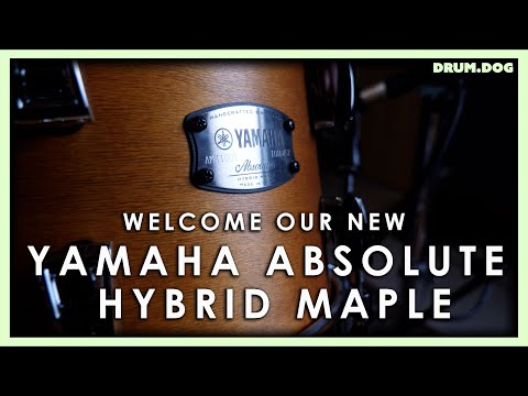 New Kit Reveal! Yamaha Absolute Hybrid Maple | Drum Dog