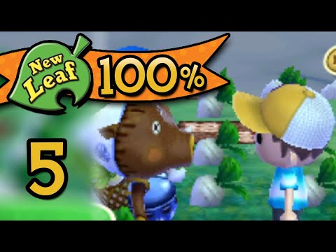 A Big Investment - Animal Crossing: New Leaf 100% [#5]