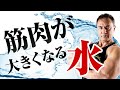 【筋トレ】筋肉を大きくするために水分補給を軽んじてはいけません【筋肥大】