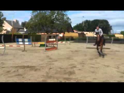 Vigo d'Arsouilles Bart Gommeren Sporthorses