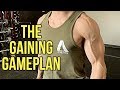 Setting Up My Bulk - What Is My Game Plan?