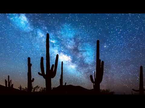 The Dream by Tom McCormick