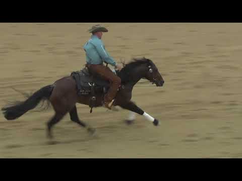 SJR Diamond Mist - Rein