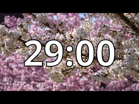 29 Minutes Timer with Music | Cherry Blossom Timer