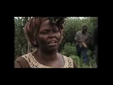 Awakening the Dreamer: Changing the Dream