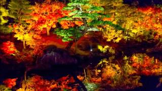 Download lagu サン＝サーンス: 交響詩｢死の舞踏｣／Camille, Saint-Saens: Danse macabre in G Minor, Op. 40［ナクソス・クラシック・キュレーション #カッコイイ］ mp3