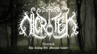 Nicrotek - The Crying Orc (Burzum Cover)