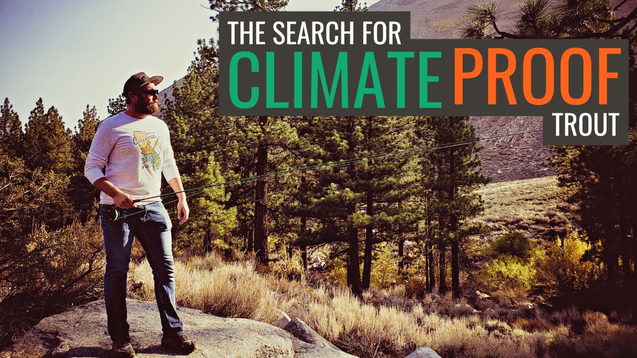 The Climate Proof Trout | Heritage Trout Mapping E08 | Tenkara Redband Trout