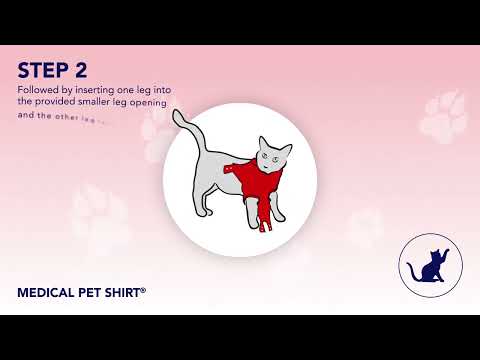 Medical Pet Shirt for Cats