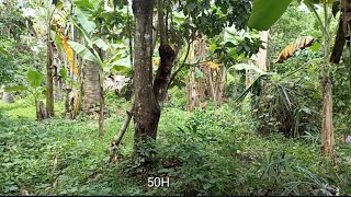 #594 #PURE FLAT LAND