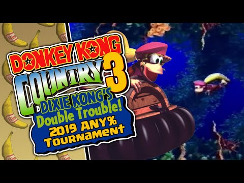 bluebeary26 vs Anankoz. DKC3 Tournament 2019