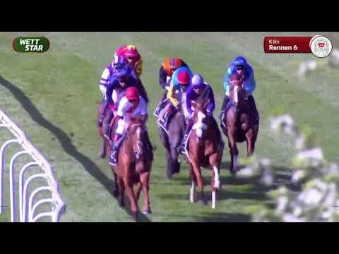 Carl Jaspers Preis - Gruppe 2