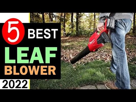 Best Leaf Blower 2021 🏆 Top 5 Best Battery Powered Leaf Blower