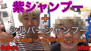 【実験企画】【紫シャンプーとシルバーシャンプー】合わせて10回使ったら髪色はどうなる？？