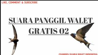 Download lagu SUARA PANGGIL WALET LANGSUNG MENGINAP mp3 Download lagu SUARA PANGGIL WALET LANGSUNG MENGINAP mp3