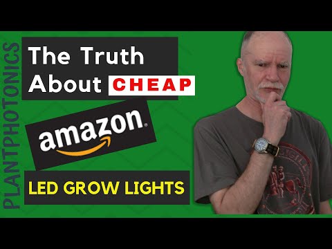 download lagu mp3 mp4 Best Led Grow Lights For The Price, download lagu Best Led Grow Lights For The Price gratis, unduh video klip Best Led Grow Lights For The Price