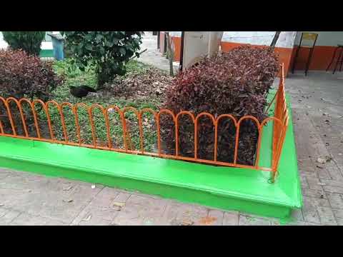 hoy sábado desde el Corregimiento La granja de ituango Antioquia 🖐️ quedó muy bonito el parque 👏