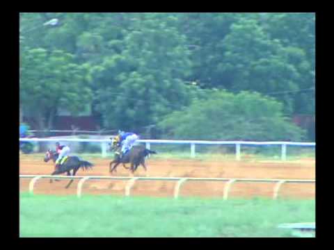 2da. Carrera Jueves 17 de Octubre de 2013 SANTA RITA