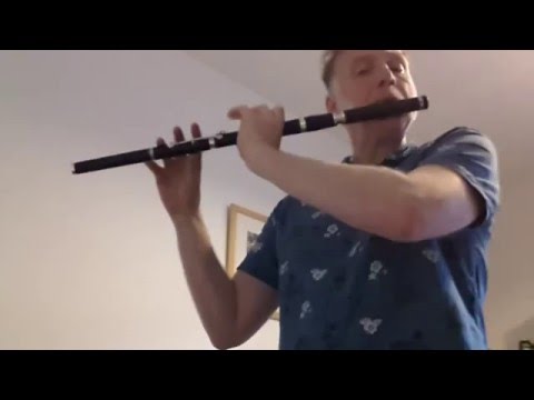 Michael Walsh: Traditional Irish Music on the Flute