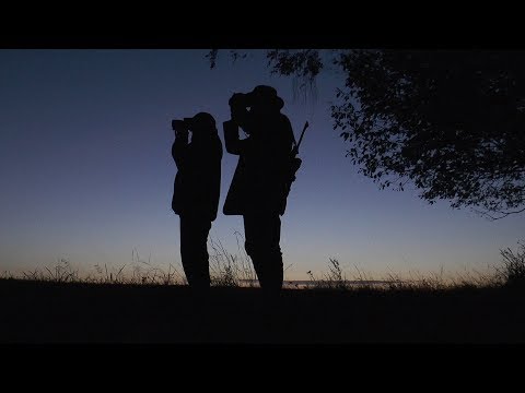 Reife Hirsche - glückliche Jäger!