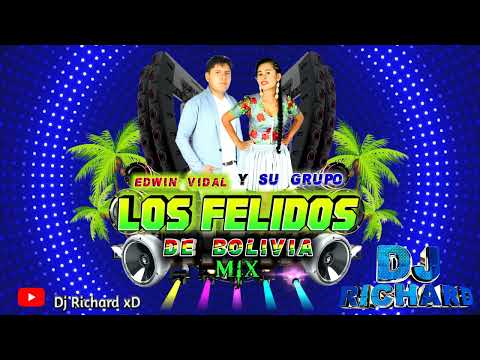 LOS FELIDOS MIX DJ RICHARD