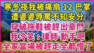 寒冬夜我被痛扇12巴掌，遭婆婆辱罵不知安分，穿破拖鞋被趕出豪門，我冷笑:律師 動手吧，全家當場被趕走全都懵了！【真實故事】#生活經驗 #情感故事 #深夜淺讀 #幸福人生 #深夜淺談 #伦理故事