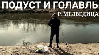 Отчет саратов фидер набережная
