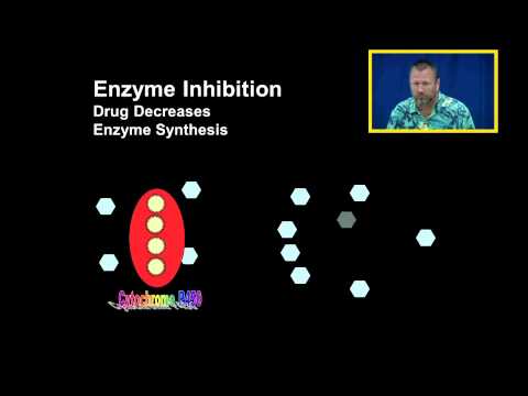 Enzyme Inhibition and Enzyme Induction