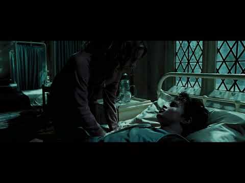 Harry, Ron and Hermione convince Dumbledore that Sirius is innocent. (Clip)
