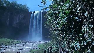 preview picture of video 'Cachoeira Salto Majestoso Costa Rica MS'