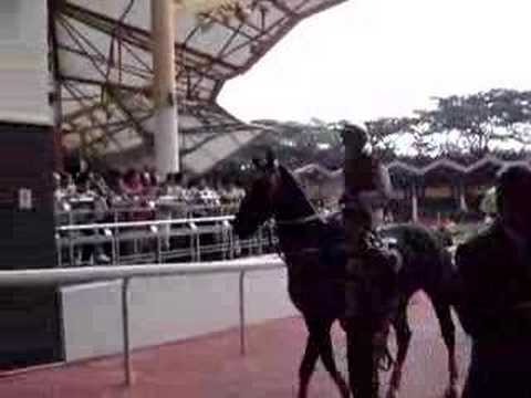 Singapore Horse Racing