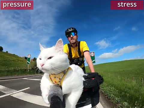 After our 587 mile charity ride last year, I submitted a Guinness World Record application.