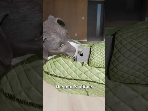 A Dog Called 911? 🤯