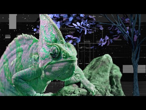 Video thumbnail for Deep in the Jungle