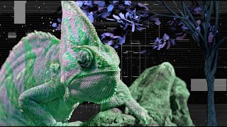 Bassnectar &amp; UFO! - Deep In The Jungle ⊛ [All Colors]