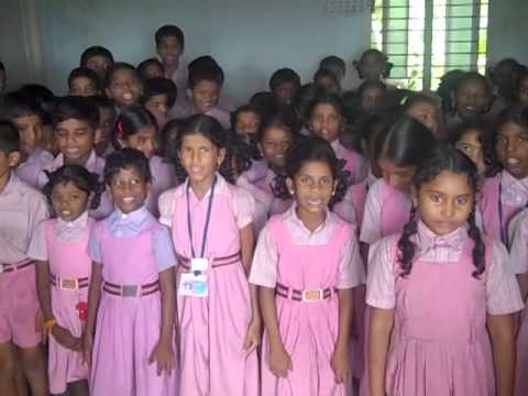 Day 7: Classes, Cricket, Cake