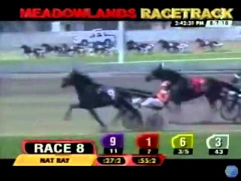 Nat Ray Trot 2010 -Slave Dream