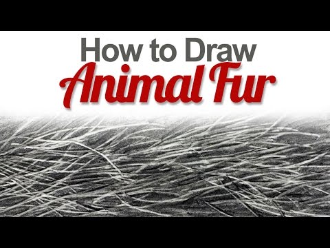 How to Draw Animal Fur - YouTube