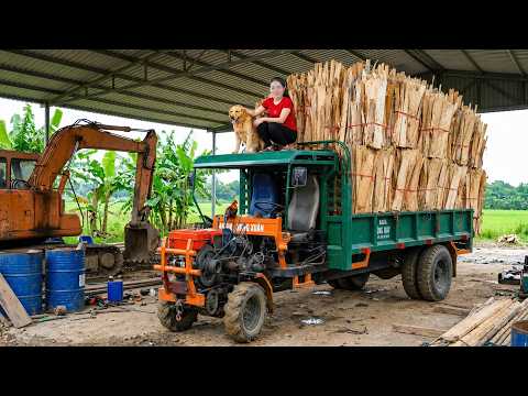 Timelapse Harvesting 1000+ Peeled Wood Logs | Use Truck to Transport Building Materials for Sell