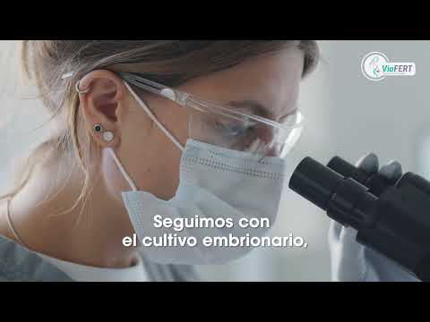 Making Dreams Come True: Comprehensive Fertility Support in Mexico